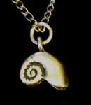 Nautilus Necklace