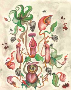 Art for Pitcher Plant Cover
